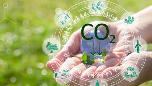 Carbon Offsetting 101 Minimizing Your Merch Campaign’s Impact